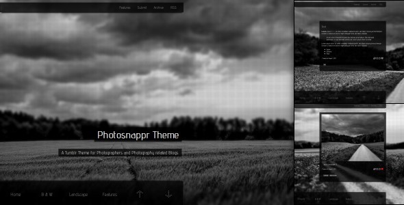 Photosnappr, a Tumblr Theme for Photographer