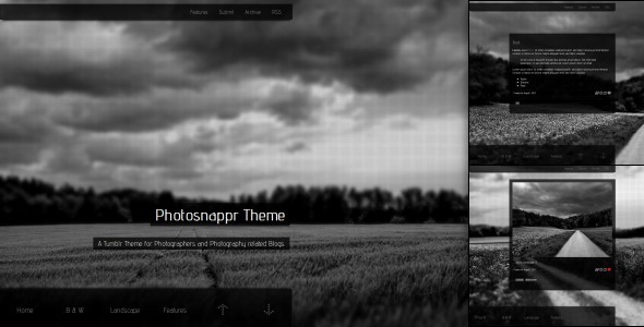 vintage camera tumblr themes