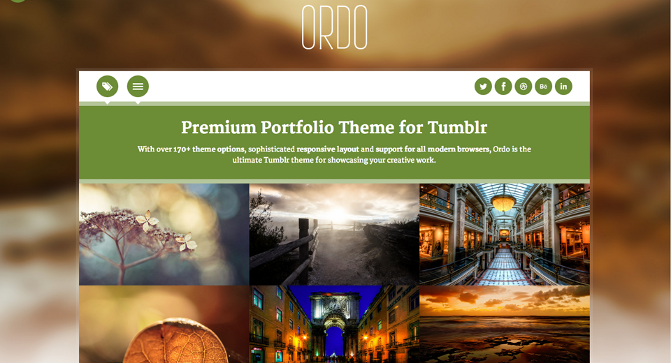 tumblr-theme-photography-ordo