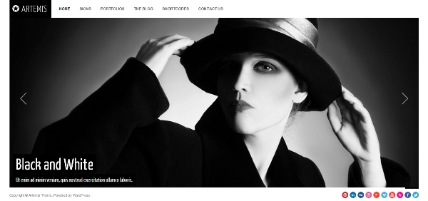 Artemis Photography Gallery Portfolio Theme