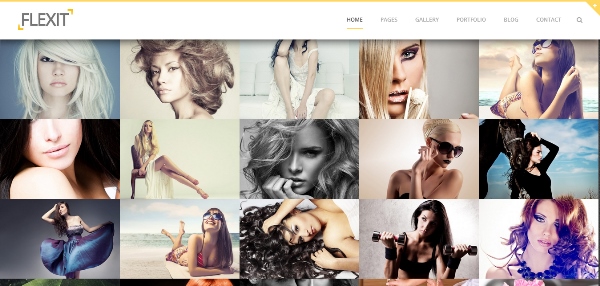 FLEXIT - Theme for Photographers and Portfolios