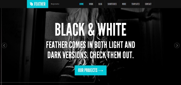 Feather - Responsive Portfolio WordPress Theme