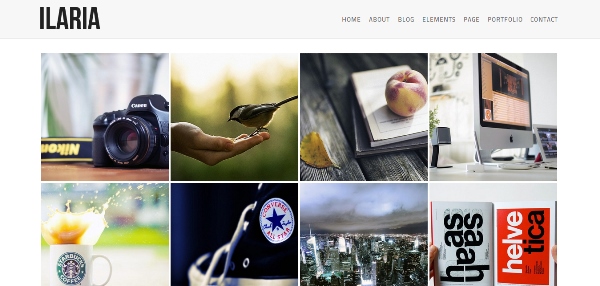 Ilaria Premium WordPress Theme Photography