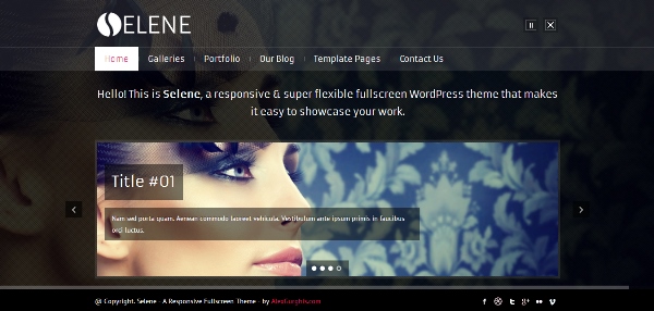 Selene - Fullscreen Premium WordPress Theme