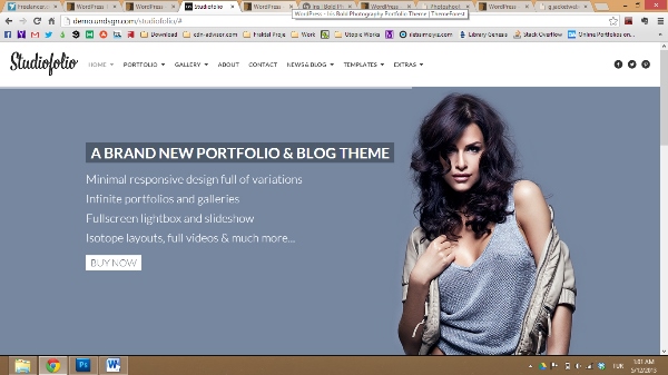 Studiofolio A Versatile Portfolio and Blog Theme