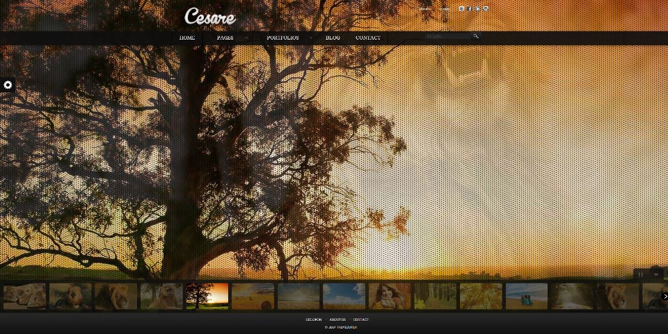 Cesare - WP Full Screen Portfolio Theme