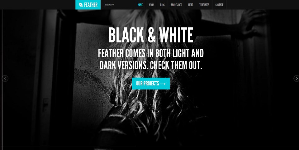 Feather - Responsive Portfolio WordPress Theme