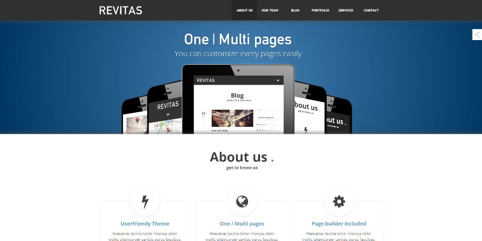 Revitas – One / Multi pages WordPress Theme