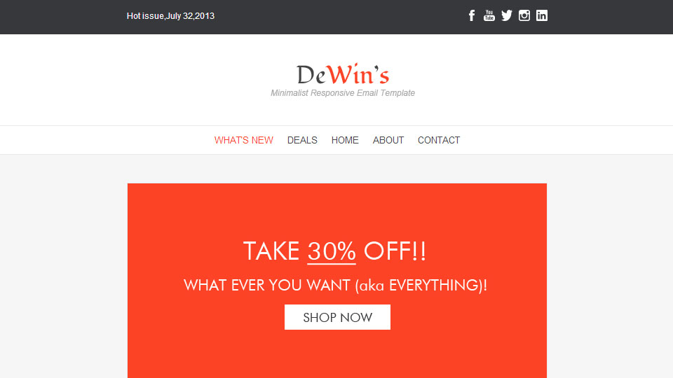 Professional Responsive Email Template - DeWin's