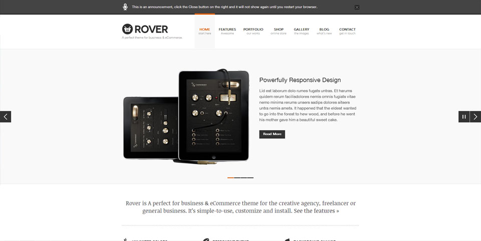 Rover Business & eCommerce WordPress Theme