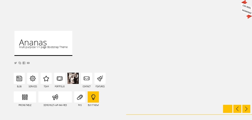 Ananas - Multi purpose 1_page_Bootstrap_Theme